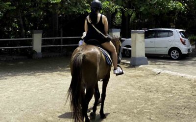 BALI HORSE RIDING